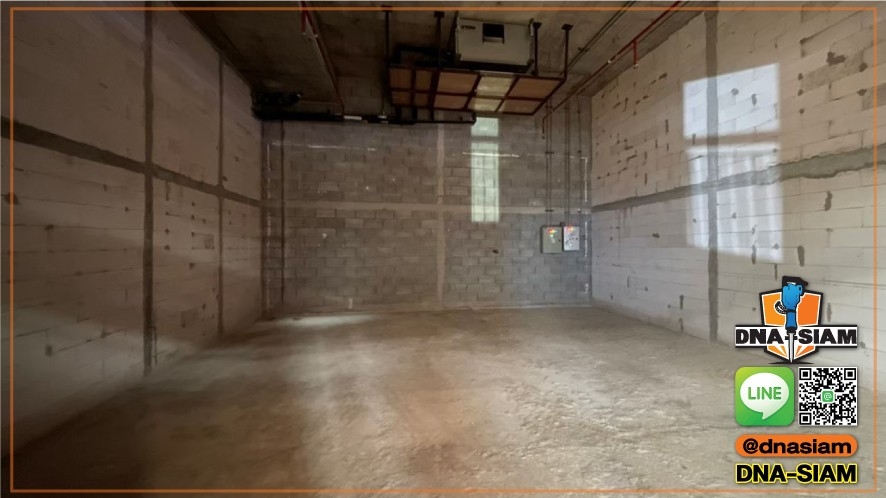 LINE_ALBUM_รื้อถอนภายใน_250214_16